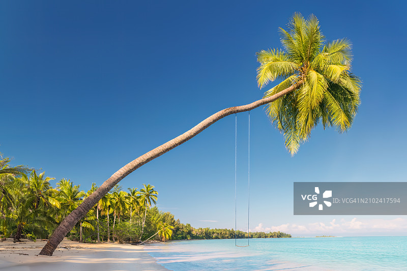 斯里兰卡米瑞莎海滩的椰子树图片素材