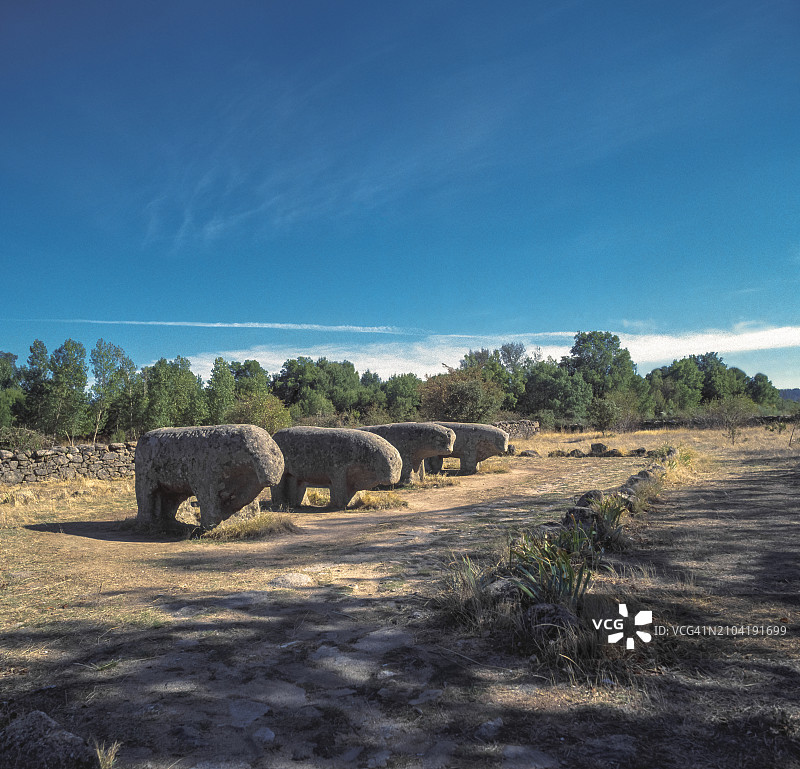 吉桑多的公牛（公元前3至4世纪）。阿维拉，西班牙。图片素材