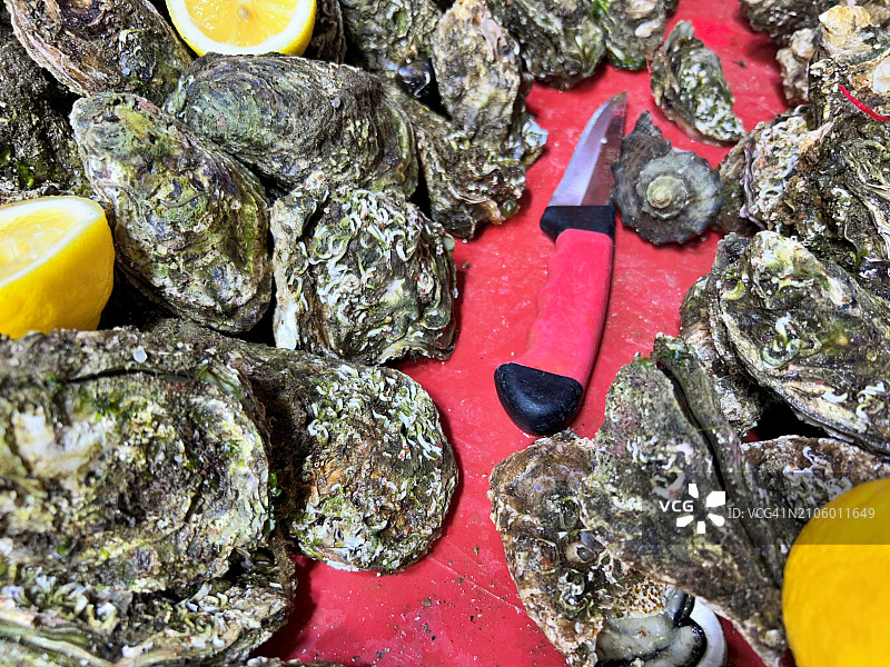 柜台上的牡蛎图片素材
