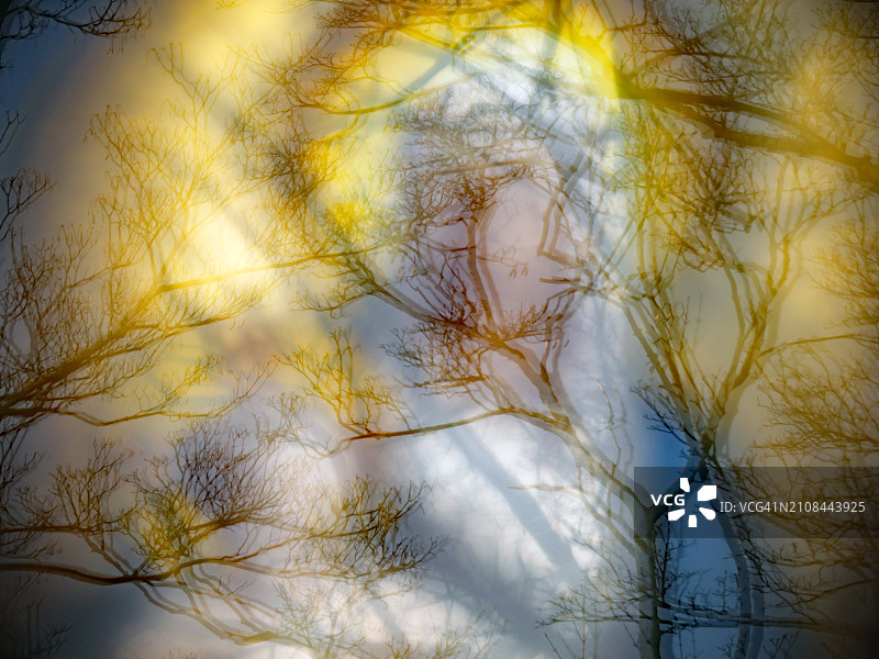 窗户上反射着光秃秃的树木，后面有一扇彩色玻璃窗，描绘了圣母玛利亚和耶稣儿童（模糊）在法国巴黎拉雪兹神父公墓拍摄的阳光自然色照片图片素材