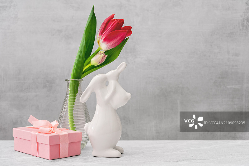 中性背景下带礼品盒的小红郁金香图片素材