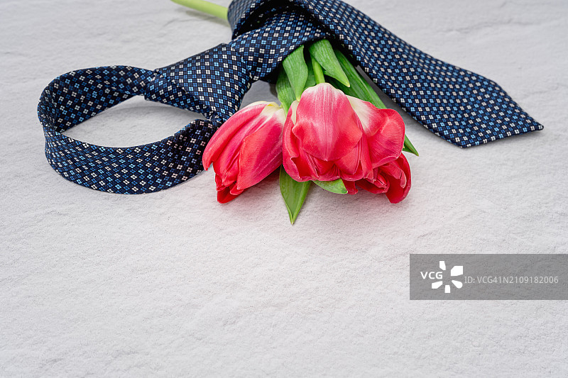 父亲节的红色郁金香和领带图片素材