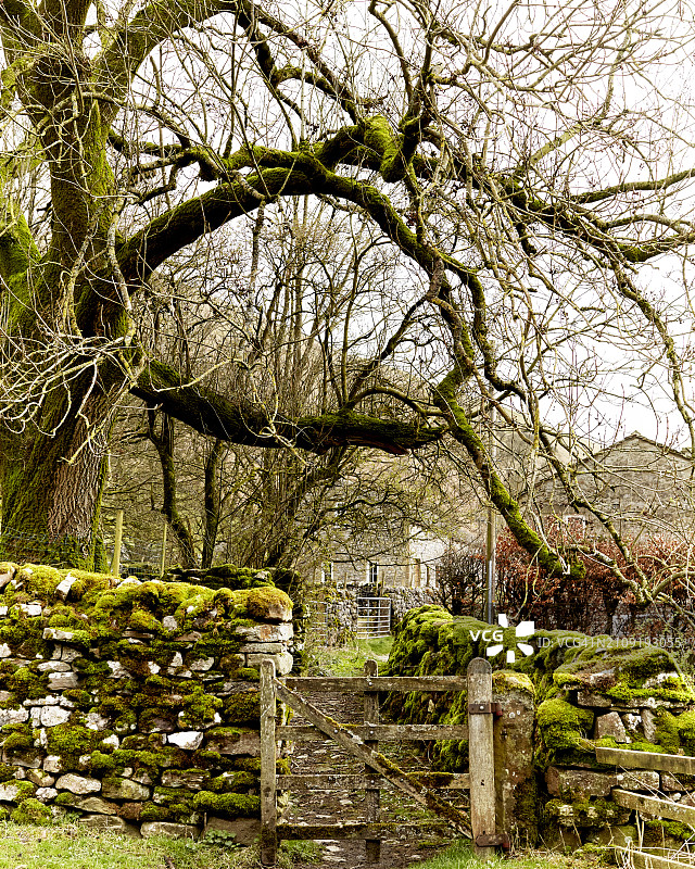 约克郡山谷冬末春初图片素材