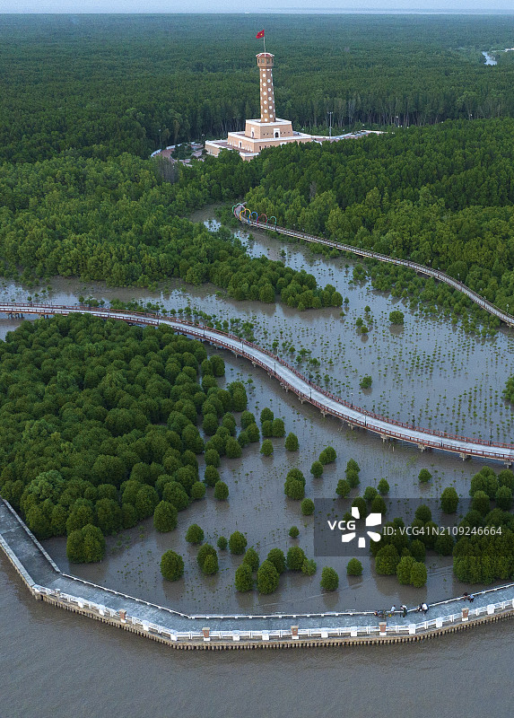 从上方看到的金瓯角国家公园，被联合国教科文组织认定为世界生物圈保护区。图片素材