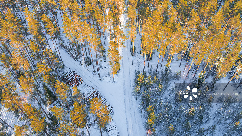 森林雪地十字路口无人机航拍照片图片素材