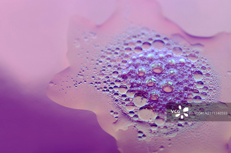 粉色背景上的水和肥皂泡图片素材