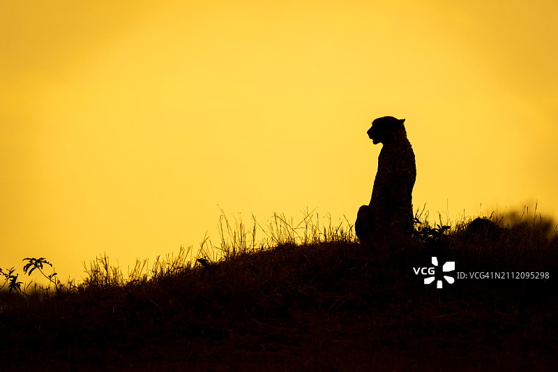 日落时分站在田野上看天空的男人剪影图片素材