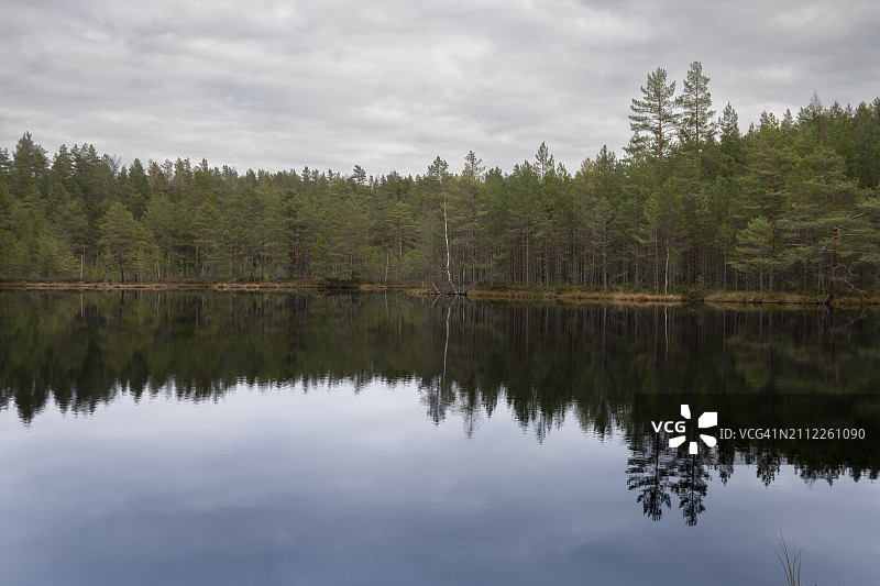 爱沙尼亚哈尔尤森林湖泊风光图片素材