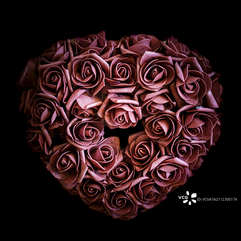 黑色背景下的玫瑰花特写图片素材