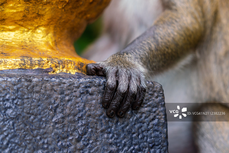 雕像特写图片素材