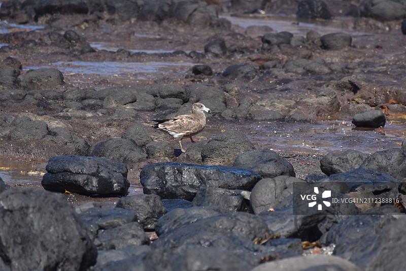 陆地上岩石高角度景观图片素材