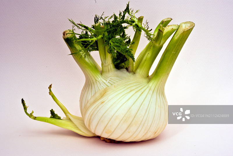 白色背景上的茴香特写图片素材