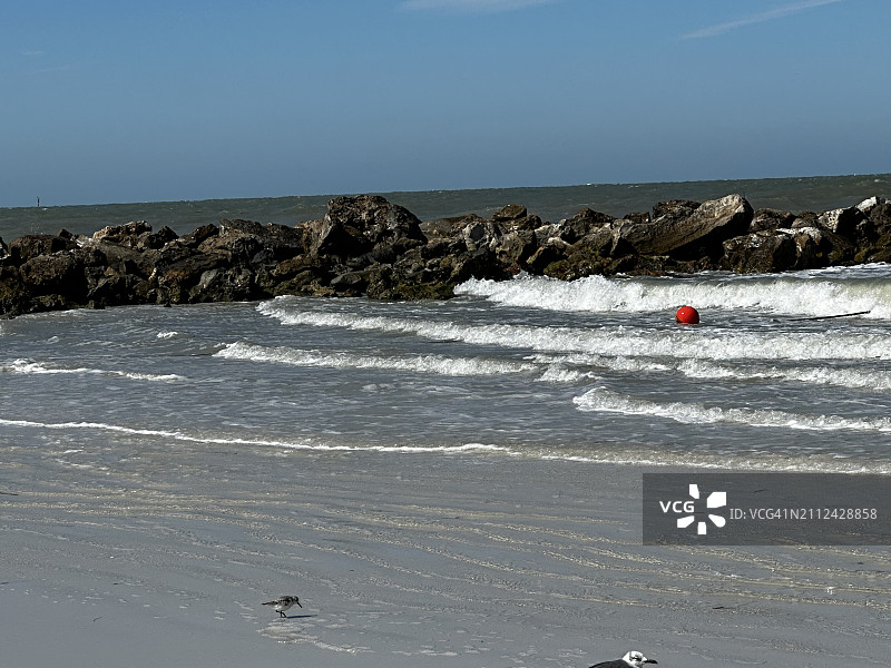 美国清水湾海滩美景图片素材
