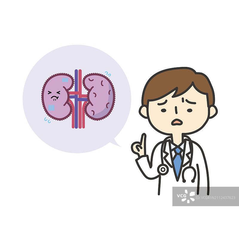 医生讲解肾脏插画图片素材
