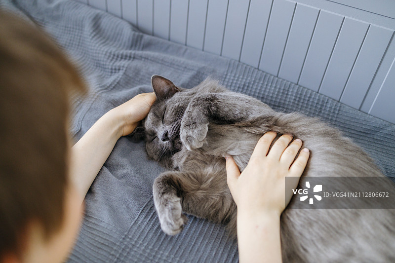 男孩在家抚摸躺在床上的猫图片素材