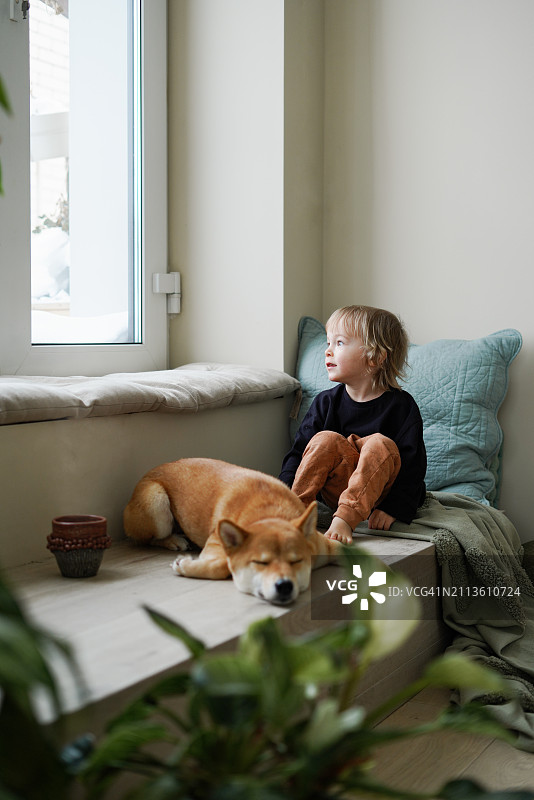 男孩与柴犬在温暖窗台休息图片素材