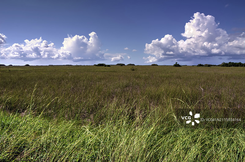 佛罗里达大沼泽地上空的壮观云朵图片素材