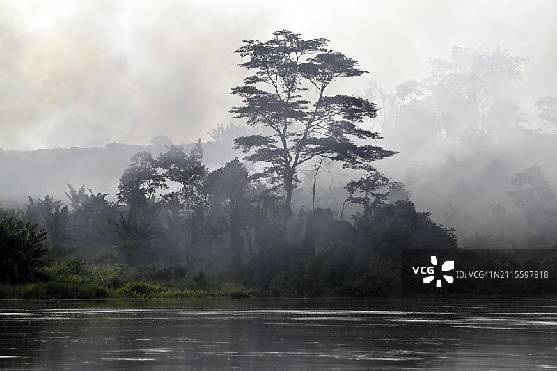 非洲中非共和国桑加河雨林雾景图片素材