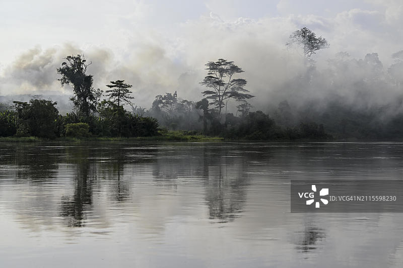 非洲中非共和国桑加河雨林雾景图片素材