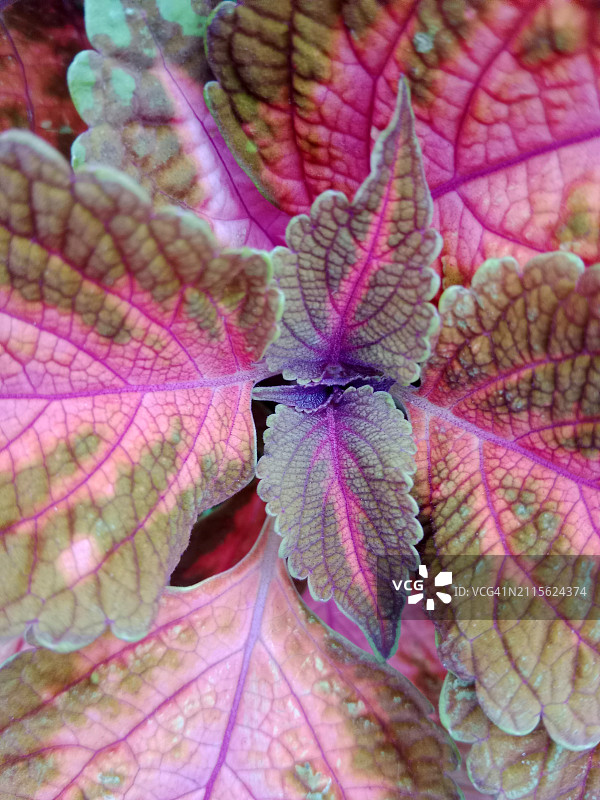 工厂背景图片素材