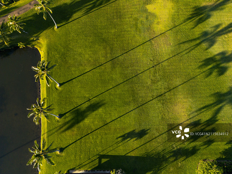 汉纳雷湾的棕榈树影子图片素材