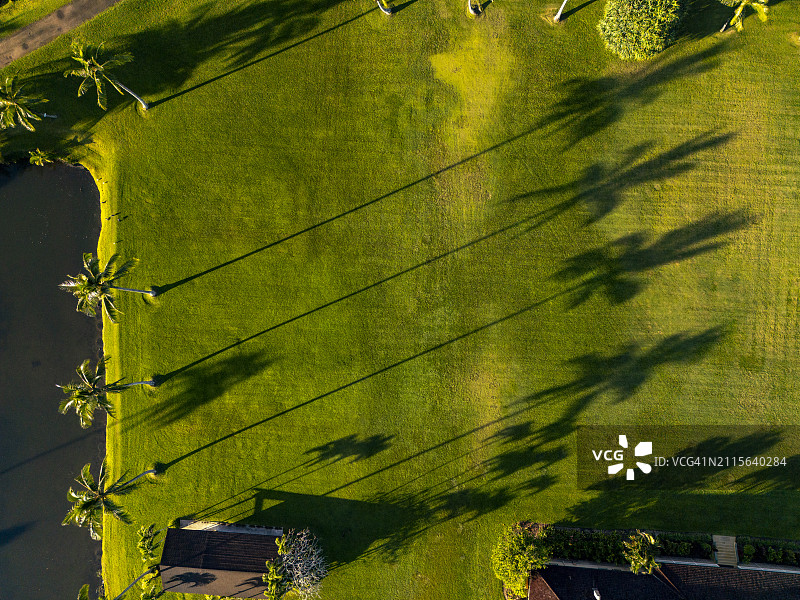 汉纳雷湾的棕榈树影子图片素材