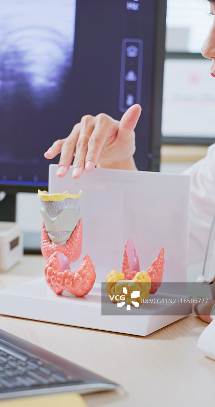 亚洲医生讲解甲状腺模型图片素材