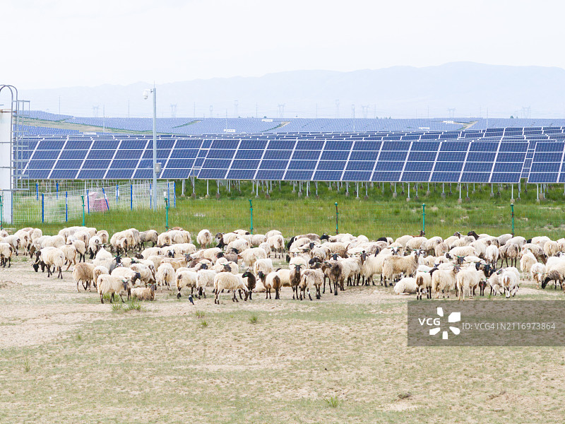 安装太阳能光伏板的沙漠覆盖着绿草图片素材