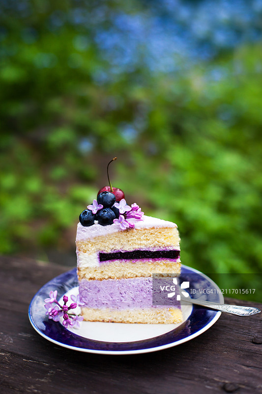 户外背景下的自制美味蓝莓蛋糕图片素材