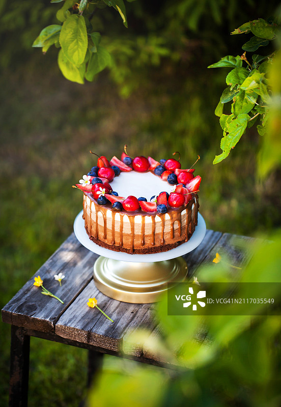 美味自制三色巧克力慕斯蛋糕，饰以新鲜浆果图片素材