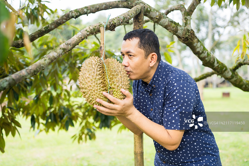 成人在榴莲农场聚会图片素材