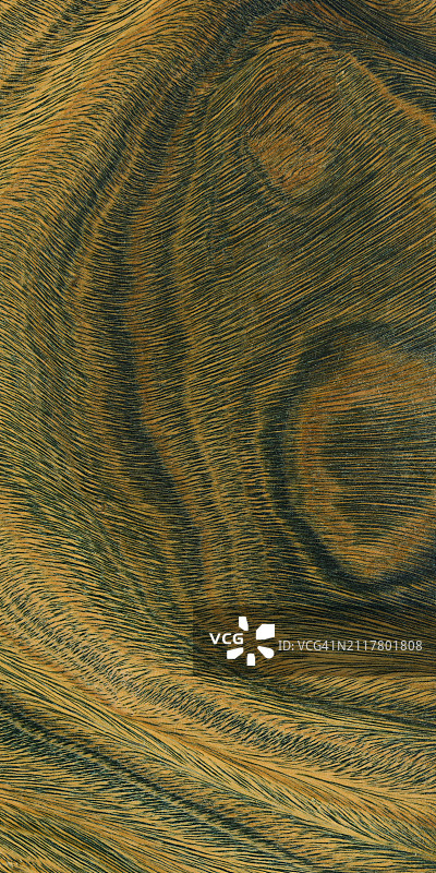 绿色和棕色的帕洛桑托木制图案。图片素材