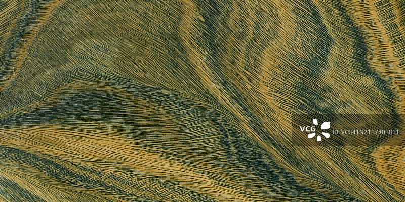 绿色和棕色的帕洛桑托木制图案。图片素材