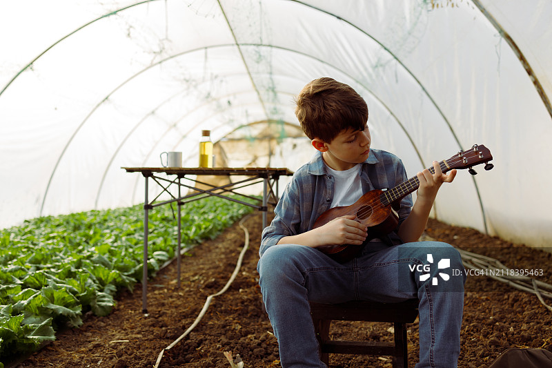 在温室里弹尤克里里的男孩图片素材