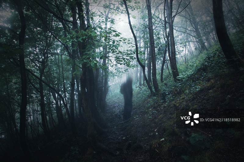 迷雾阴森森林中的模糊身影图片素材