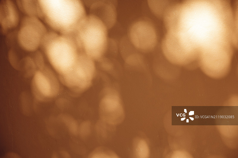 阳光穿过树叶，照在橙色墙壁上的模糊图像图片素材