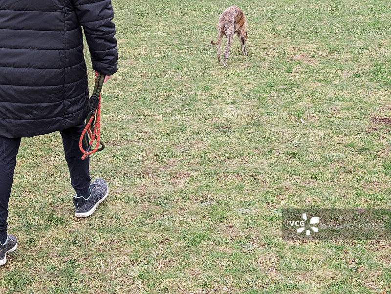 宠物保姆牵着狗在田野里散步图片素材