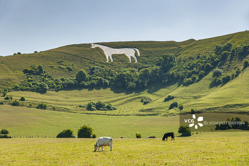 英国韦斯特伯里白马图片素材