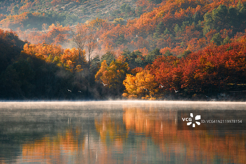 秋季森林里的湖景图片素材