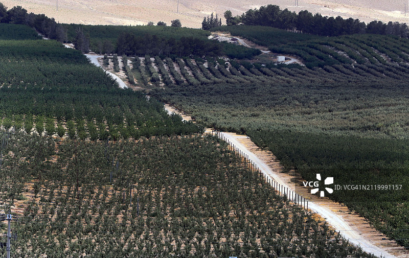 农业领域的高角度视图图片素材