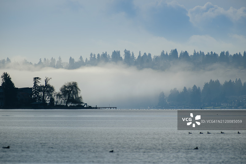 美国华盛顿州肯莫尔冬季湖泊美景图片素材