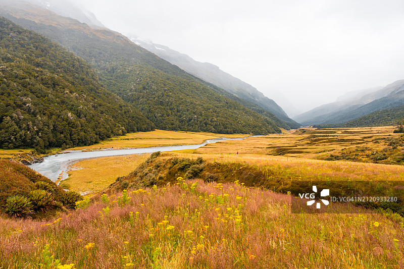 大自然的色彩图片素材