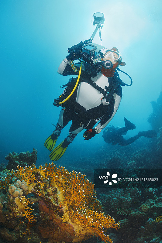水下摄影师潜水拍摄海洋生物和珊瑚礁图片素材
