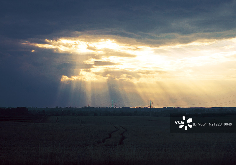 阳光洒在田野上图片素材
