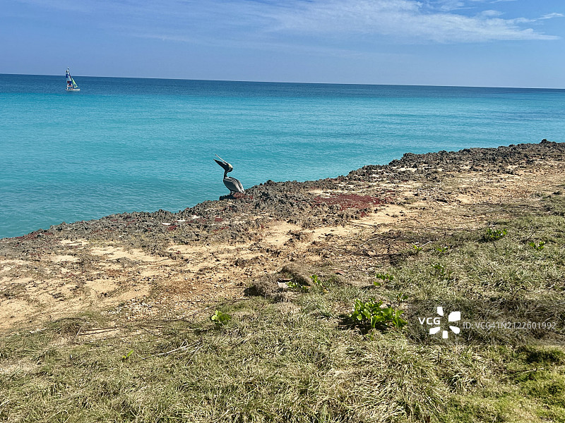古巴巴拉德罗海滩图片素材