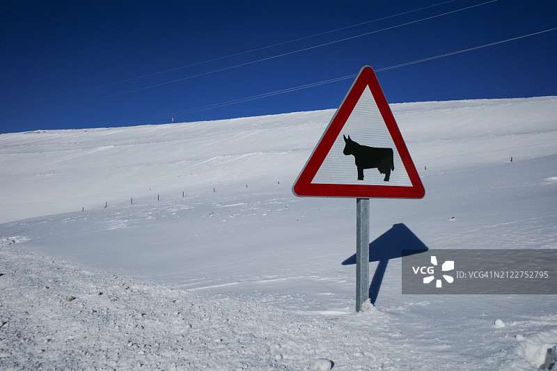 仰视路标映衬蔚蓝天空图片素材