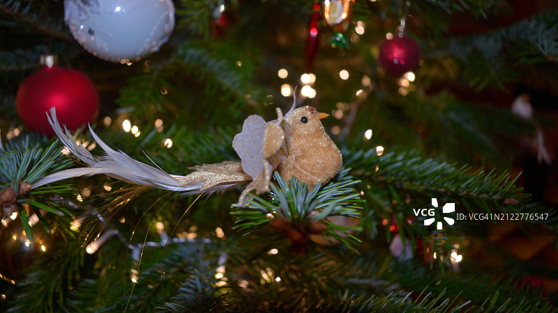 圣诞树特写图片素材