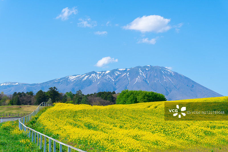 天空衬托下的田野风景图片素材