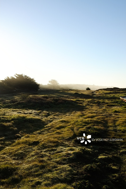 美国加利福尼亚州坎布里亚的晴空下田野风光图片素材
