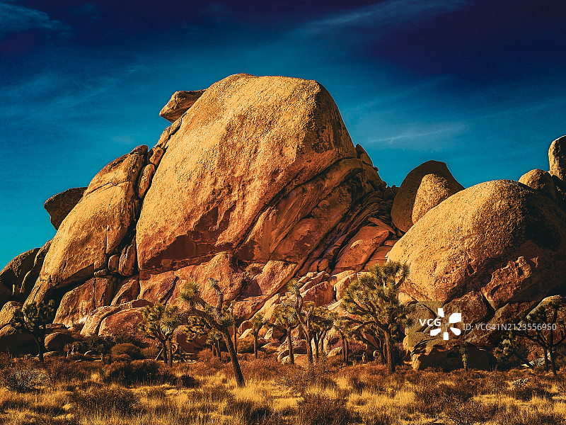 约书亚树国家公园的岩层仰视景观图片素材